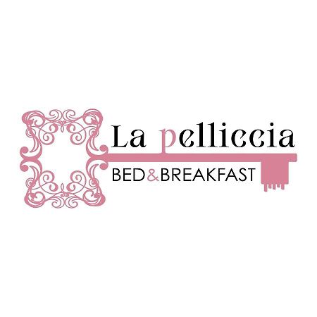 La Pelliccia Apartment บารี ภายนอก รูปภาพ